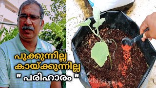 Potash Fertilizer Malayalam  MOP Potash Potash Fertilizer Terrace Garden Ideas Fertilizer Tips [upl. by Suixela]