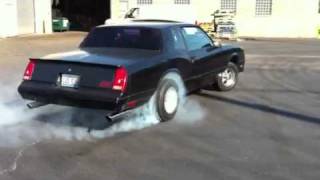 87 MONTE CARLO SS BURNOUT [upl. by Palgrave]