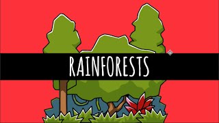 Rainforests  The Most Important Ecosystem Ever  GCSE Geography [upl. by Rocker256]