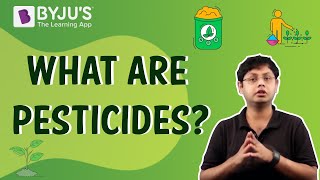 Pesticides  Uses Disadvantages and Advantages [upl. by Notnelc564]