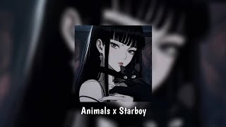 Animals x Starboy  Slowed Reverb  Tiktok Version [upl. by Attoynek]