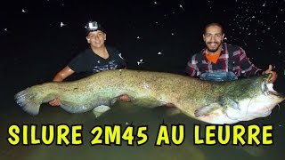 SILURE RECORD 2M45 au leurre gopro en direct Mohamed Fishing [upl. by Asilem119]