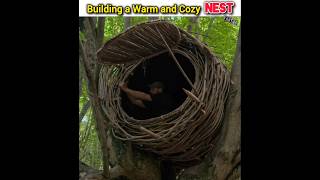 Building a Warm and Cozy Nest part 2 building survive shelter shortsfeed [upl. by Yadnus733]