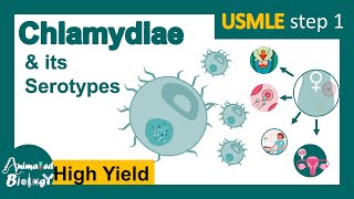 Chlamydia trachomatis and its serotypes  Trachoma  neonatal keratoconjunctivitis  USMLE [upl. by Renat908]