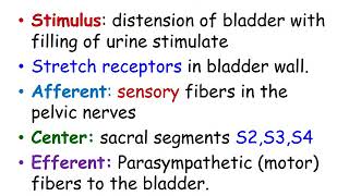 Micturition Reflex OER [upl. by Aldos]