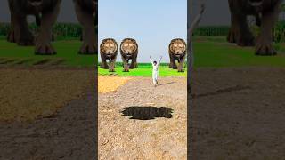 VFX short long lion video Vellaarain54 flying video magic video [upl. by Bennie]