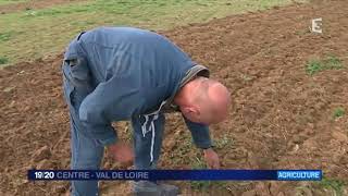 Fautil interdire le glyphosate [upl. by Oatis]