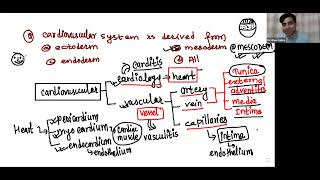 Cardiovascular system lacture 1 by Dr millan sirname institute viral foryoupage study mbbs [upl. by Zwick]