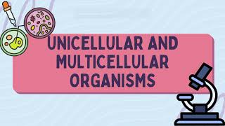 Unicellular and Multicellular organisms [upl. by Seugirdor]