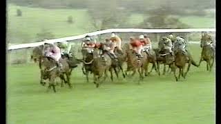 1981 Supreme Novices Hurdle Hartstown [upl. by Yerbua]