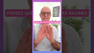 Soin Reiki pour votre enracinement et votre ancrage [upl. by Volin855]