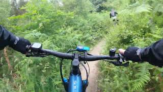 EMTB  Dalby Forest highlights of the red trail [upl. by Arrej]