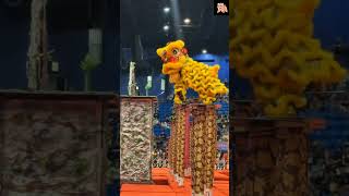 2024 Malaysia National Lion Dance Championship ExG26292 [upl. by Notgnirra624]