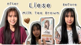 ย้อมผมด้วยตัวเองง่ายๆด้วย Liese Milk Tea Brown สีสวยมากก🤎 [upl. by Fabyola]