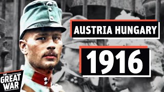 The Death Of The AustroHungarian Army 1916 Brusilov Offensive Documentary [upl. by Lange]