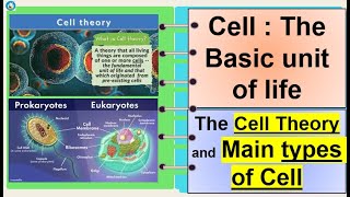 Science 7 Cell Theory and kinds of cells [upl. by Nichols597]