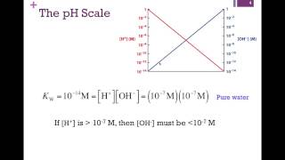 010Acids Bases and pH [upl. by Nadaba408]