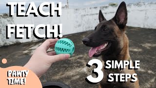 How To Teach Fetch In 3 Simple Steps [upl. by Osswald]