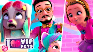 TANEČNÍ SOUTĚŽ 😏🦩 VIP PETS 🌈 KOLEKCE EPIZOD ✨ POHÁDKY pro DĚTI v ČEŠTINĚ 📺 I L💗VE VIP PETS [upl. by Dollar122]