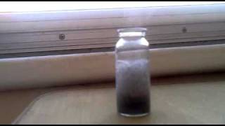 Reaction of Aluminum with Water and Sodium Hydroxide [upl. by Waiter]