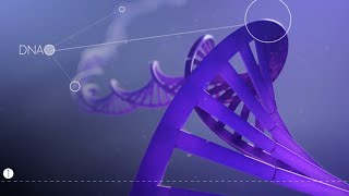 Réparation de l’ADN par Excision Nucléotide Animation 3D [upl. by Terencio771]