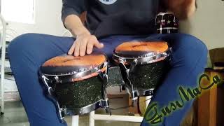 BONGO COLOMBIAN PERCUSION Y PARCHES REYES COLOMBIA [upl. by Kaliope433]