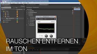 Rauschen entfernen im Ton I Noise reduction I DeNoiser [upl. by Jakie]