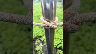 Essential Knot Fast Simple Reliable 🪢 knottutorial campingknots knot dailylifehacks [upl. by Eob81]