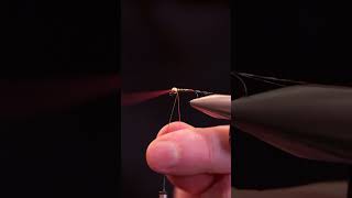 Fly Tying Tutorial  Tying the hot spot peridgon nymph [upl. by Gayler709]