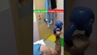 Shoulder InStability ExercisesShoulder painshoulderpaindislocation [upl. by Ariew]