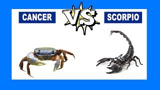 Cancer vs Scorpio Who Is The Strongest Zodiac Sign [upl. by Francine276]