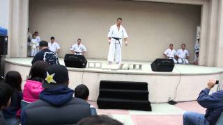 Yamaki Karate Demonstration Cement Block Breaking by Shihan Kenji Yamaki [upl. by Philpot]