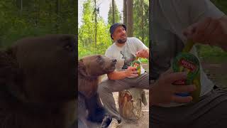 The bear tried to eat him extreme insane shortvideos wholesome [upl. by Eri693]