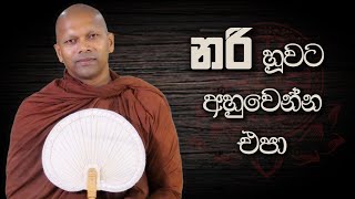 නරි හූවට අහුවෙන්න එපා  Niwana Soya  Niwathapa Thero banabudubananiwanasoya [upl. by Ysor]