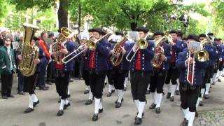 Musikverein MV Zainingen beim Landesmusikfest 2010 in Metzingen Marschmusikbewertung [upl. by Branham]