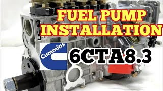 Fuel pump installation Cummins 6CT [upl. by Ennaerb]