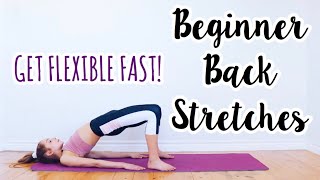 Back Stretches for the Inflexible Beginner Flexibility Routine [upl. by Macdermot]