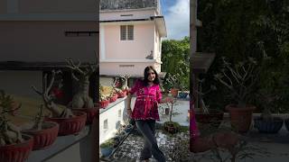 Raanjana hua me tera ranjanahuametera trendingdance dancesteps viraldancevideo [upl. by Ztnarf]