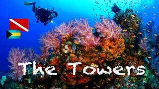 Scuba Diving quotThe Towersquot The Abacos Bahamas  GoPro  WeBeYachtingcom [upl. by Giselle]