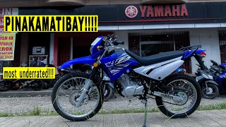 YAMAHA XTZ 125Super UNDERRATED Quick Look Review [upl. by Englebert]