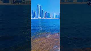 SHARJAH unitedarbemirates youtubeshorts shorts shortvideo short sharjah dubai [upl. by Blount]