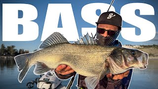 Do you SEE it Monster SEABASS  BLUEFISH [upl. by Rehtaef]