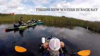 Fishing new water in back bay and toptoad blowups [upl. by Sucramrej891]