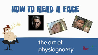 How to Read a Face Physiognomy [upl. by Assenev267]