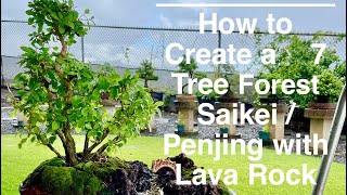 How to Create a 7 Tree Saikei  Penjing with Lava Rock [upl. by Bysshe]