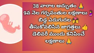 9 Month Of Pregnancy Symptoms in Telugu🤰9 వ నెల గర్భిణీల లక్షణాలు తీసుకోవలసిన జాగ్రత్తలు🤰subscribe🙏 [upl. by Rodoeht]