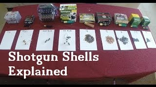 Shotgun Shells Explained [upl. by Iarised135]