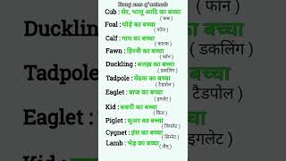 Young one Animal  English speaking practice ✓💡spokenenglish92 [upl. by Lange]