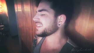 Adam Lambert  coloring  Lilac Wine Jeff Buckley cover [upl. by Utica]