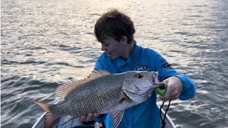 Mangrove MADNESS  Fishing the Noosa River [upl. by Tiram]